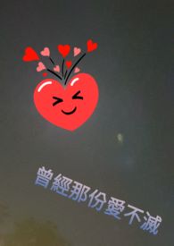 �����Ƿݰ�����